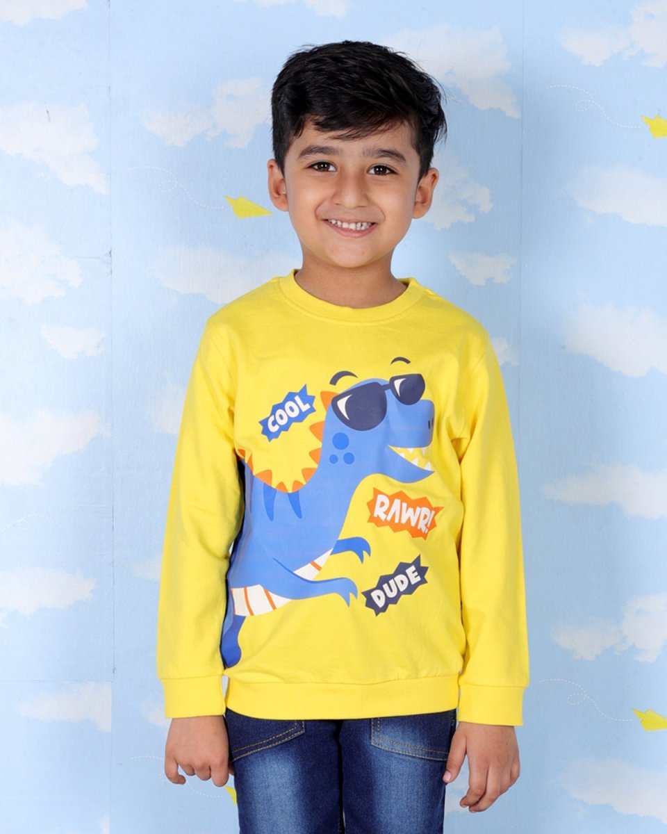 Combo Of 3 Kids Hooded Sweatshirts