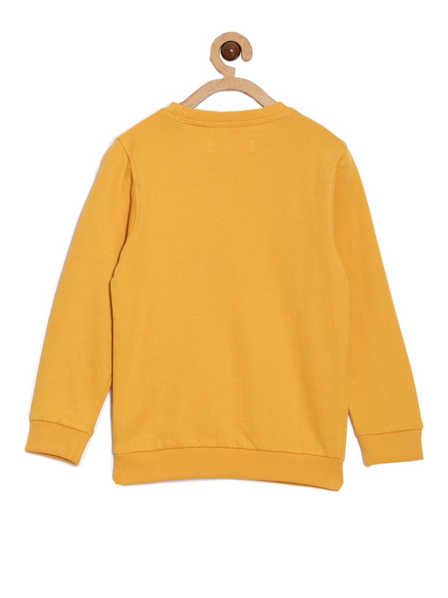 Combo Of 3 Kids Hooded Sweatshirts
