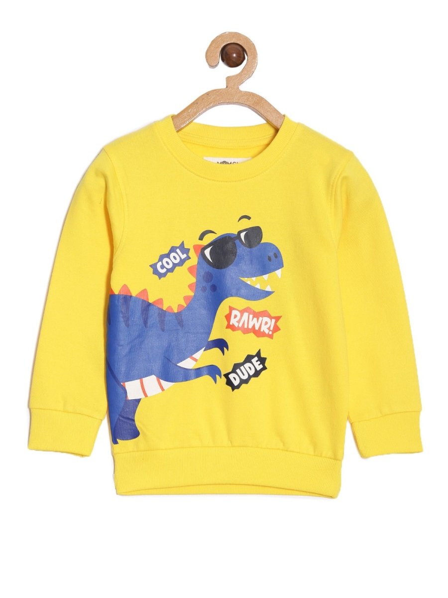 Combo Of 3 Kids Hooded Sweatshirts
