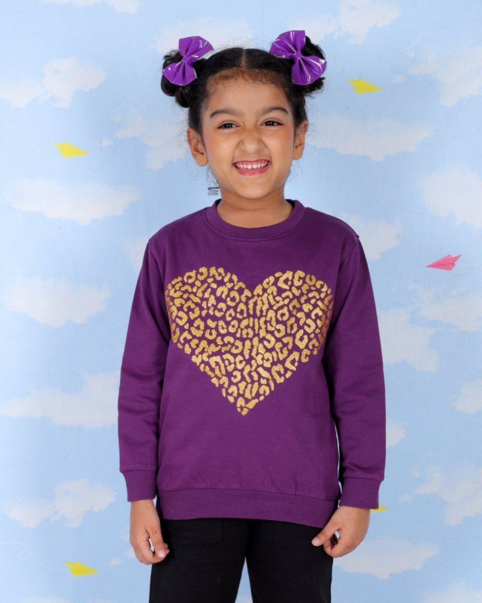Combo Of 3 Kids Hooded Sweatshirts