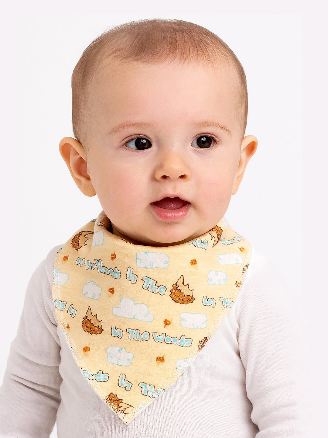 Cactus Print 3 Pc Premium Adjustable Snap Button Bibs For Babies