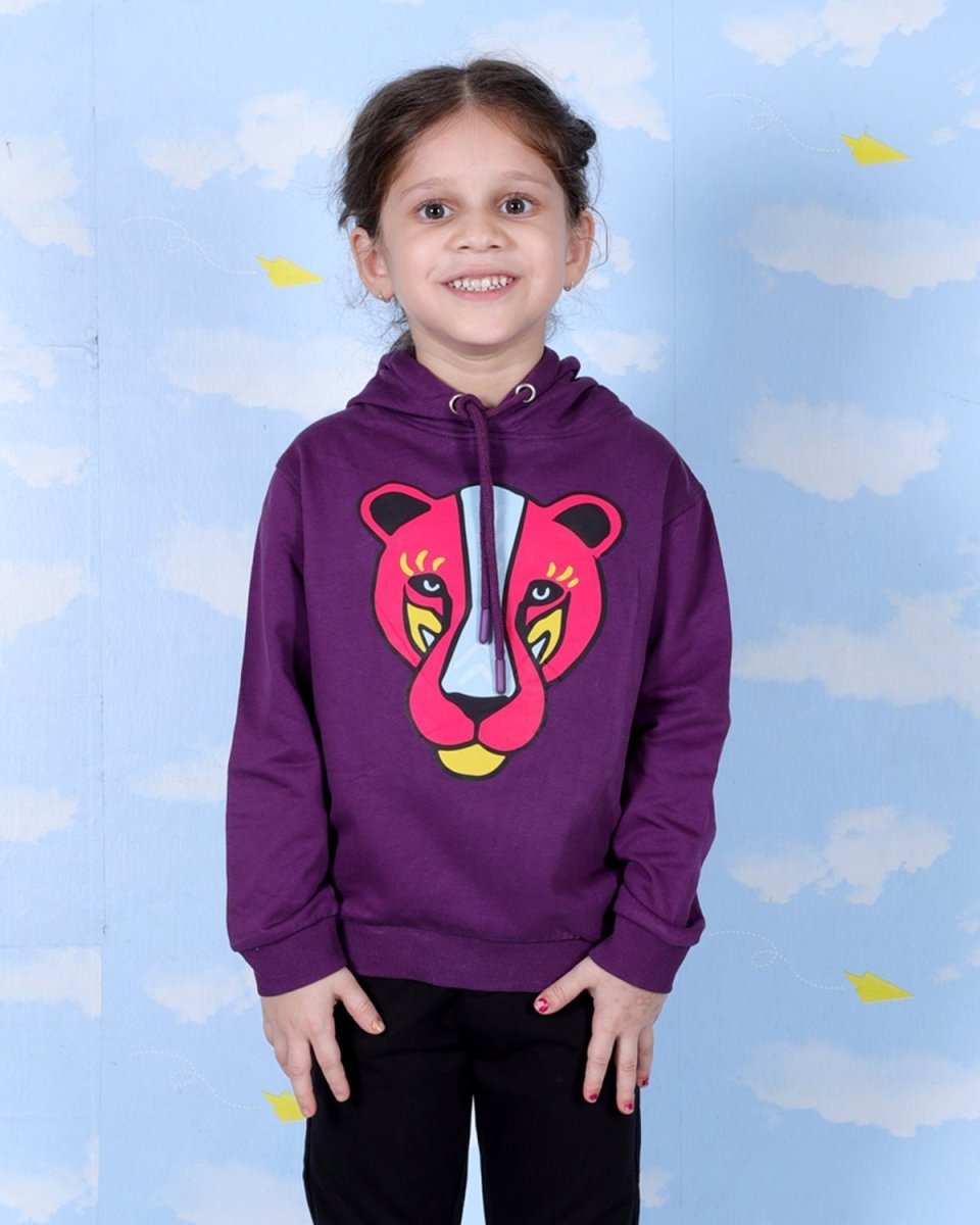 Combo Of 3 Kids Hooded Sweatshirts