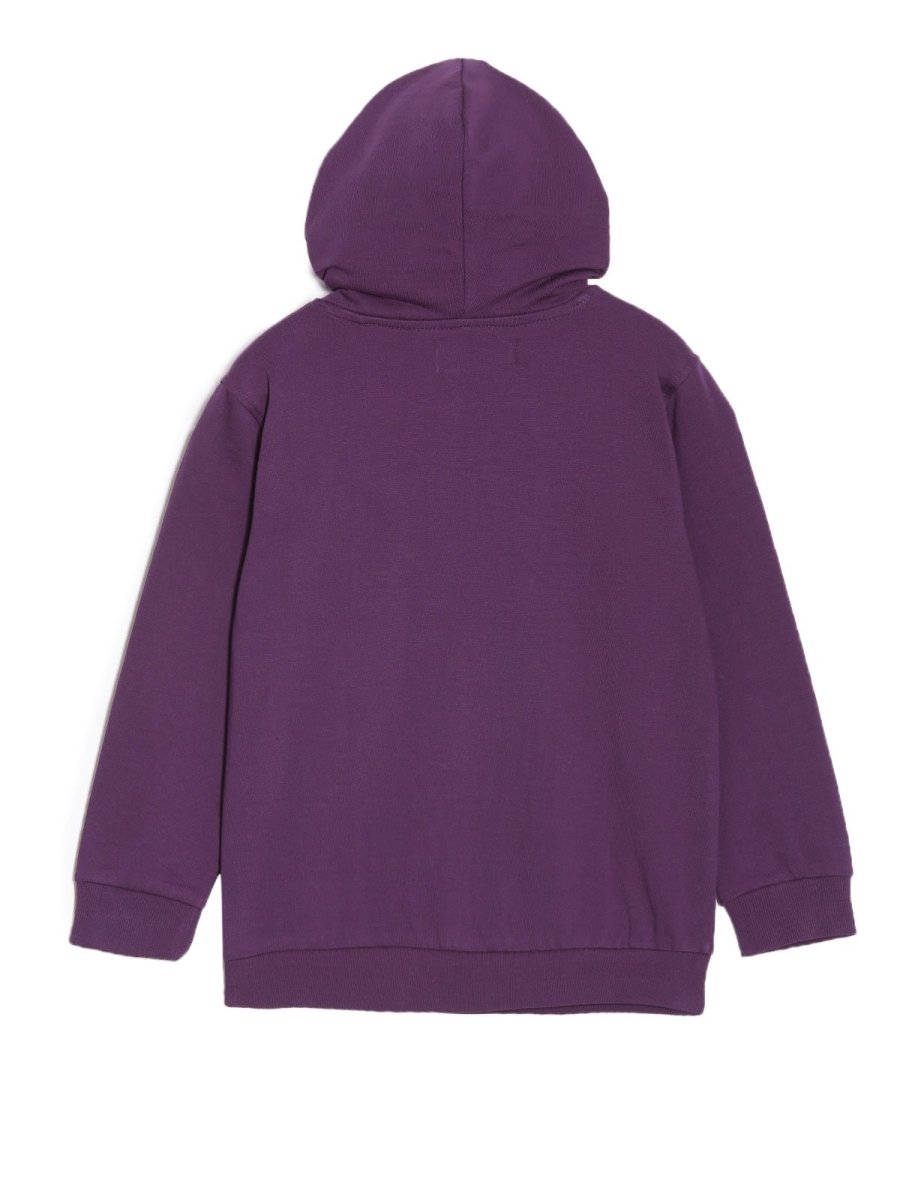 Combo Of 3 Kids Hooded Sweatshirts