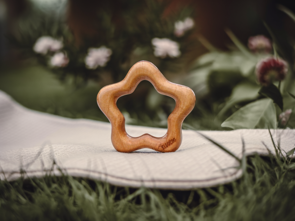 Kidocoo Toys Neem Wood Antibacterial Eco-Friendly Teether Set For Babies